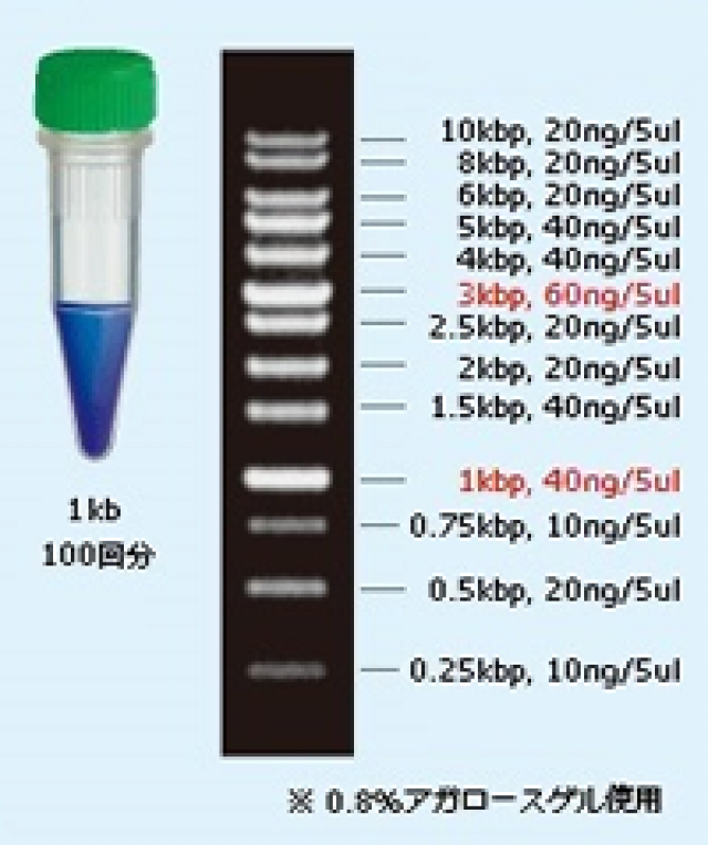 1kb DNAラダーマーカー 500μL