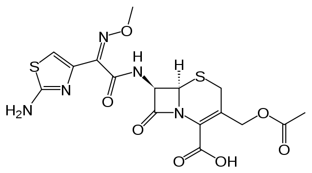 <p>セフォタキシム ナトリウム塩 （CTX）</p>