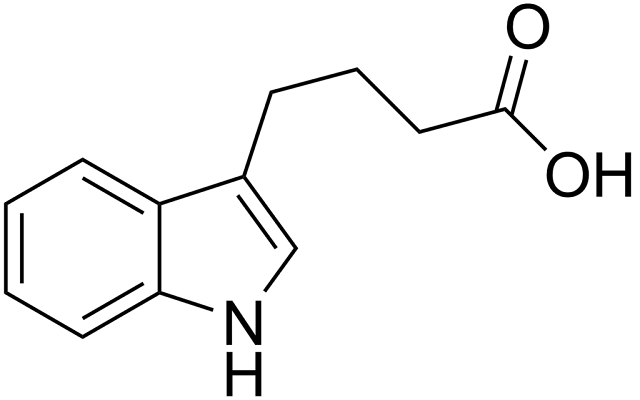 <p>インドール-3-酪酸 （IBA）</p>