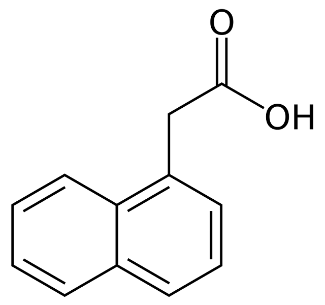 <p>ナフタレン酢酸（NAA）</p>