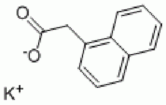 ナフタレン酢酸カリウム（NAA-K）