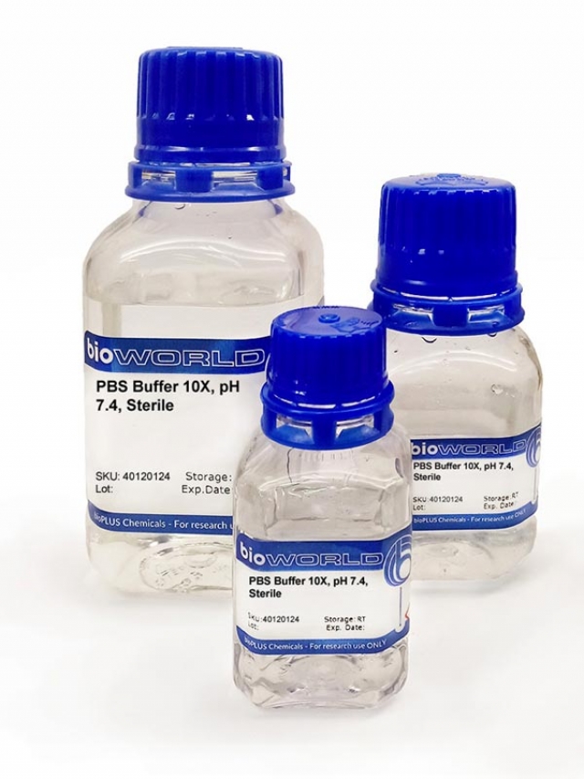 <p>PBS（リン酸緩衝生理食塩水） 10X, pH 7.4, Sterile</p>