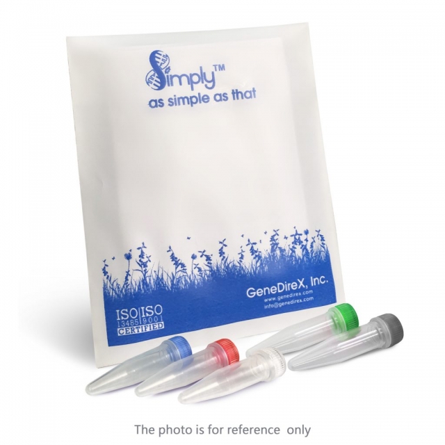 <p>GScript First-Strand Synthesis Kit</p>