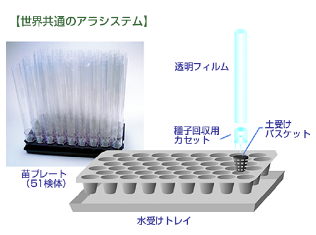 アラベース （回収用カセット）