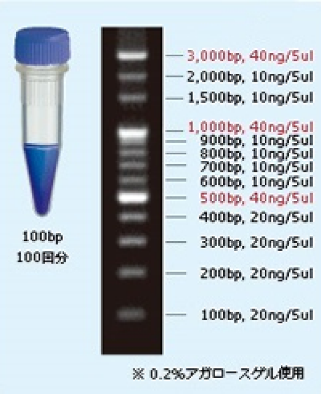 100bp DNAラダーマーカー 500μL