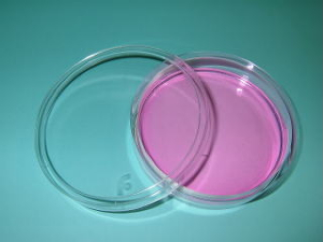 細胞培養用ディッシュ　液漏れ防止型シャーレ