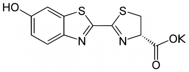 D-ルシフェリン カリウム塩