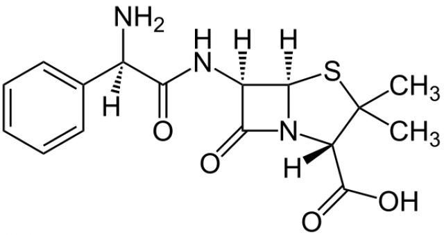 <p>アンピシリン ナトリウム</p>