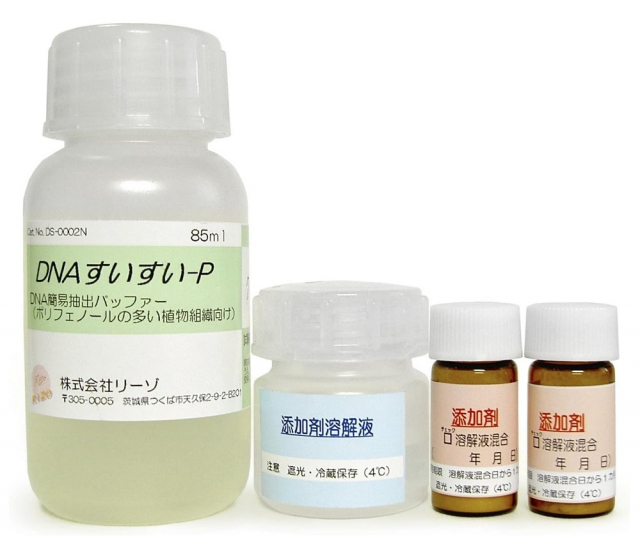 DNA簡易抽出バッファー P
（ポリフェノールの多いサンプル用）
