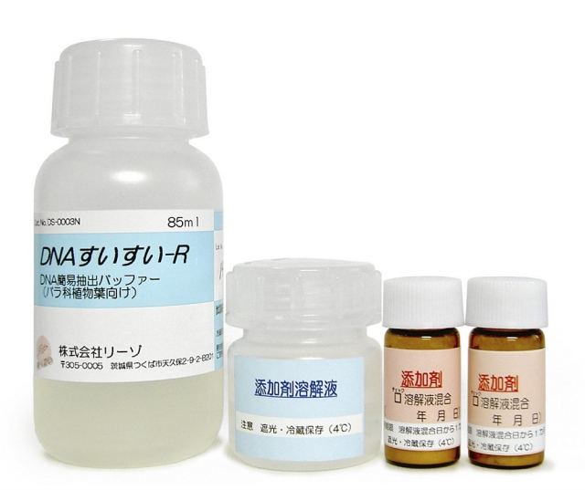 DNA簡易抽出バッファー R
（バラ科植物葉用）