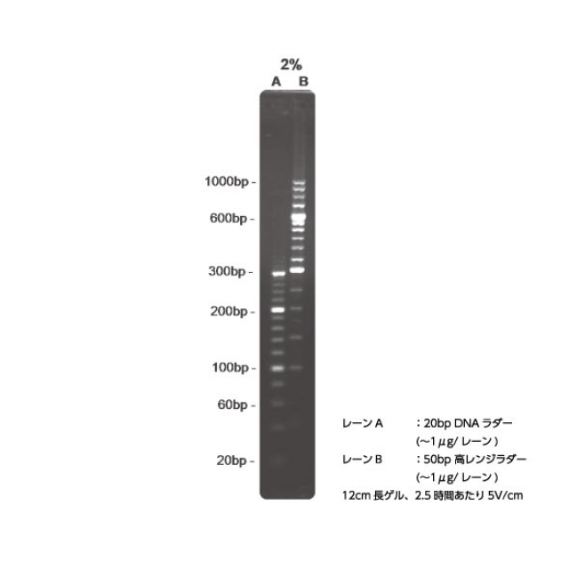 HyAgarose 3：1アガロース