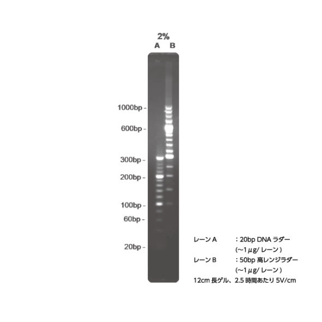 製品紹介｜理化学研究機器・消耗品のBMS － バイオメディカルサイエンス