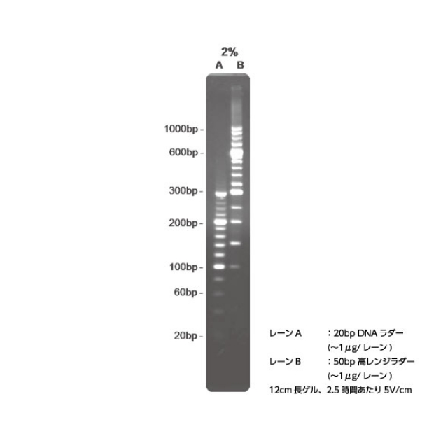 HyAgarose LMアガロース 低融点