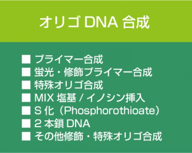 オリゴDNA合成　プライマー合成