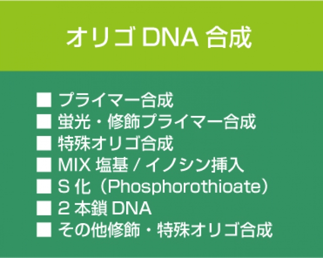 オリゴDNA合成　S化（Phosphorothioate）