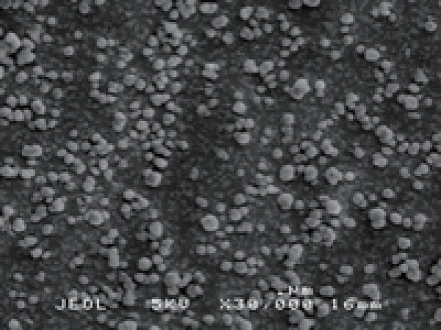 【受注停止】nano-SHAp 球状 平均粒径40nm