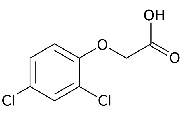 2,4-ジクロロフェノキシ酢酸 （2,4-D）
