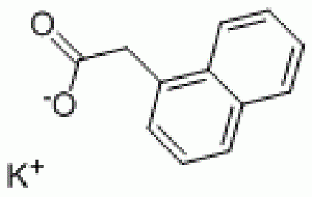 ナフタレン酢酸カリウム (NAA-K)|試薬|植物研究用試薬|製品紹介|バイオメディカルサイエンスでは高品質・高精度な理化学研究機器・消耗品を提供しています。