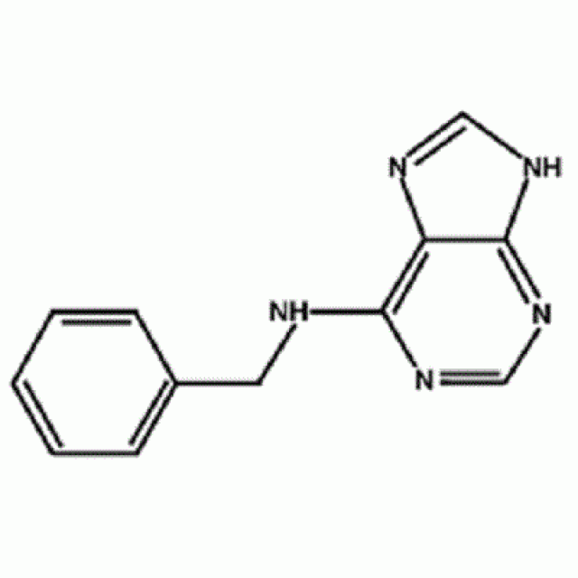 <p>6-ベンジルアミノプリン （6-BAP）</p>