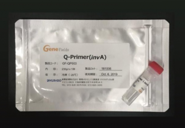 Q-Primer（invA） （サルモネラ属菌invA遺伝子検出用）