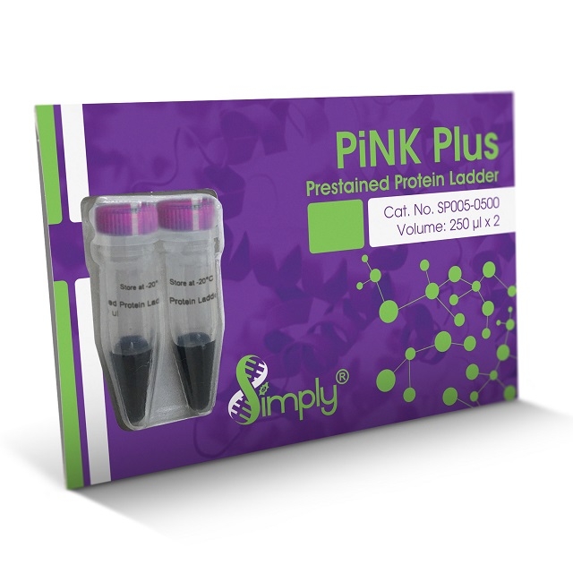 PiNK Plus プレステイン プロテインラダーマーカー