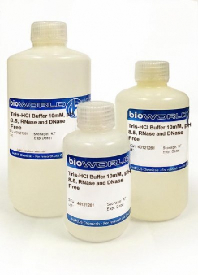 Tris-HCl Buffer 10mM, pH 8.5, RNase and DNase Free