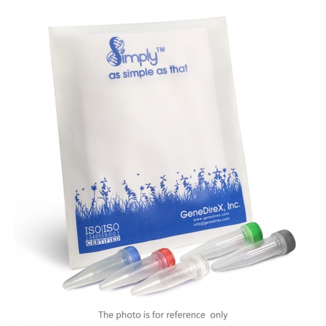 GScriptULTRA First-Strand Synthesis Kit (Oligo-dT)