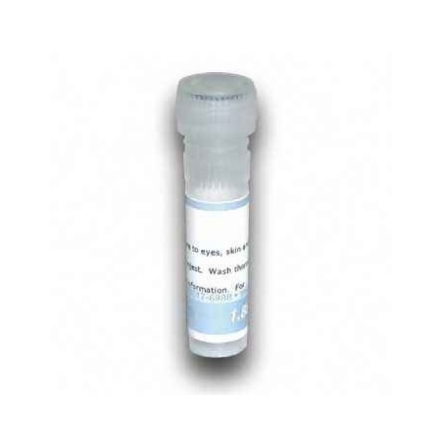 DTT溶液 1M, DNase and RNase Free Tubes