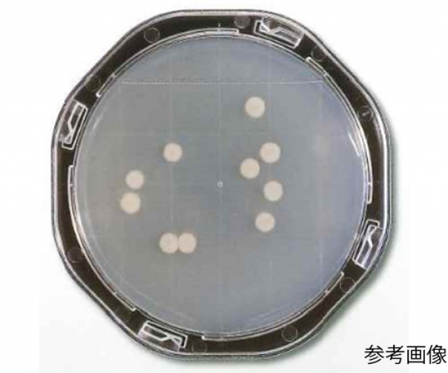 ぺたんチェックII25 SCDLP寒天培地
