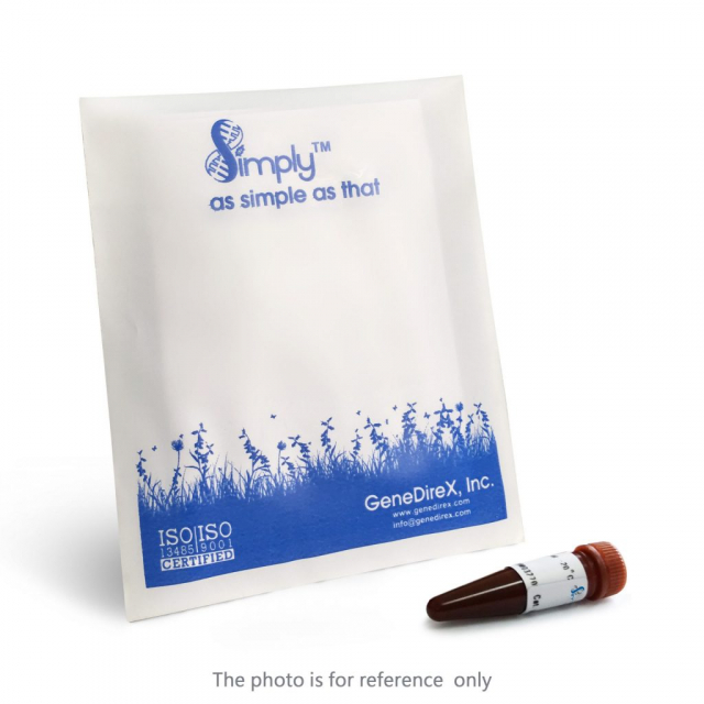 SimplyGreen qPCR Master Mix, Low Rox