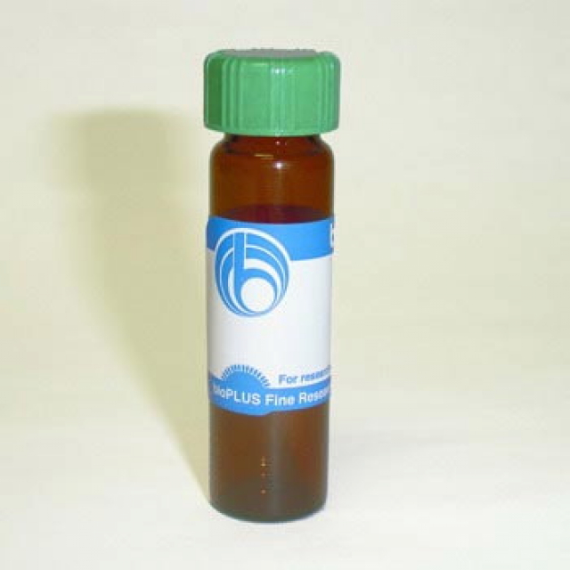 <p>ウシ血清アルブミン（BSA） Acetylated</p>