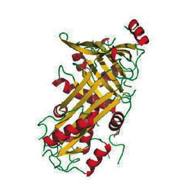 <p>オボアルブミン溶液 Standard, 2mg/mL</p>