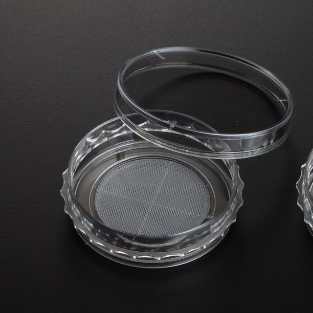 <p>SPL3D™ スフェロイドディッシュ　φ35×10mm/細胞培養用/低接着処理/滅菌済</p>