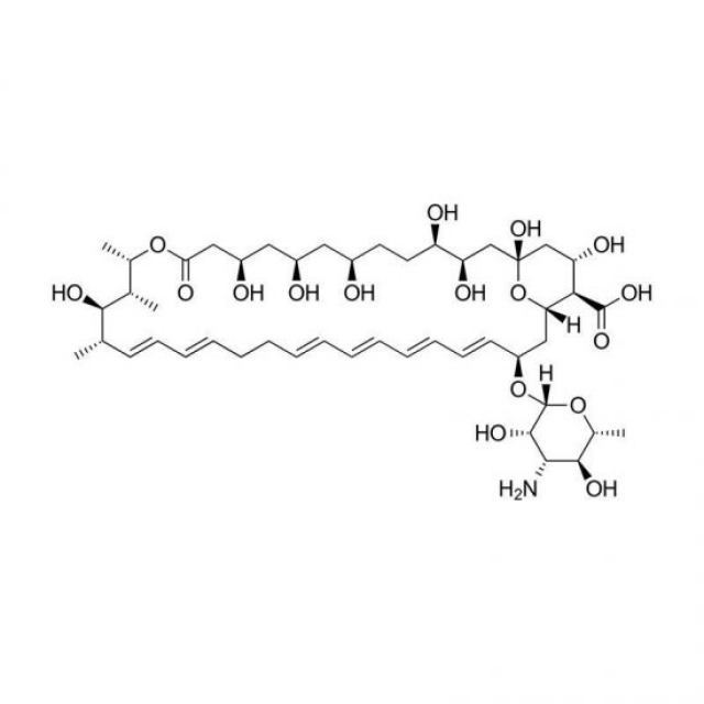 ナイスタチン溶液 5mg/mL in DMSO