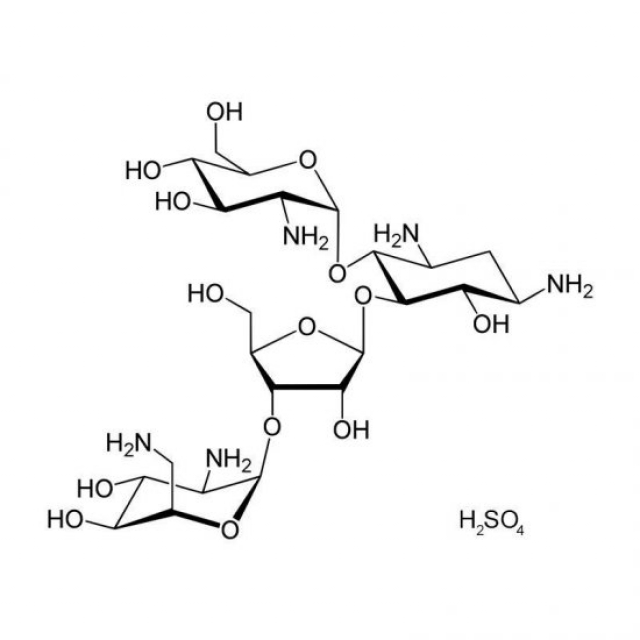 パロモマイシン硫酸塩