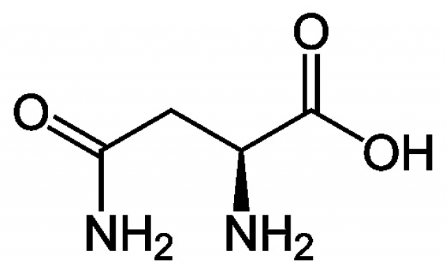 L-アスパラギン 無水物